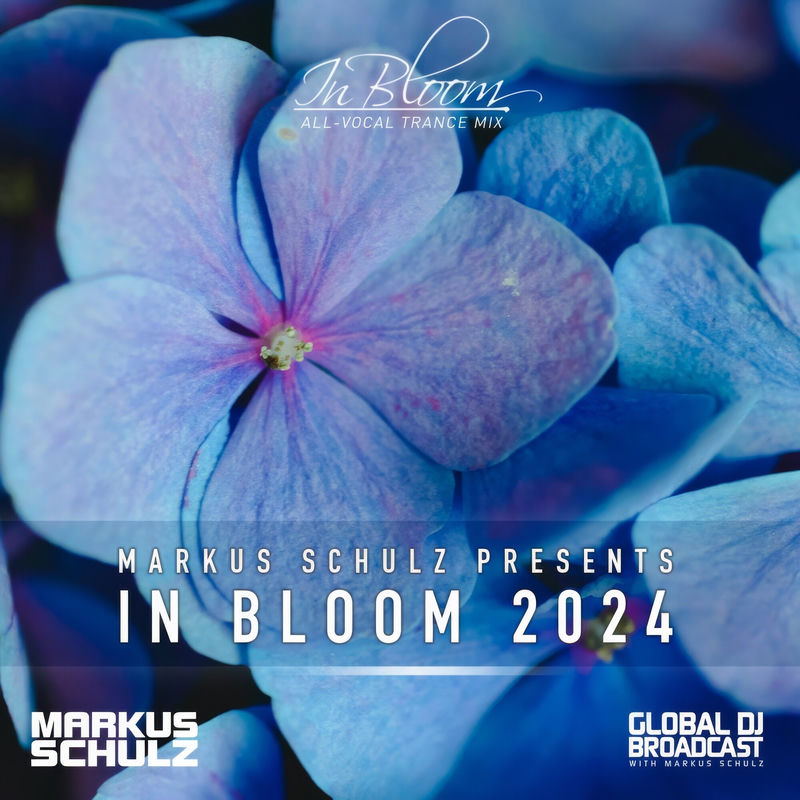 Summer (In Bloom 2024) - Miss Nine & ReDub