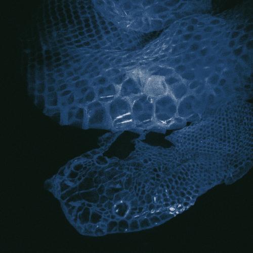 Missu - Снимай