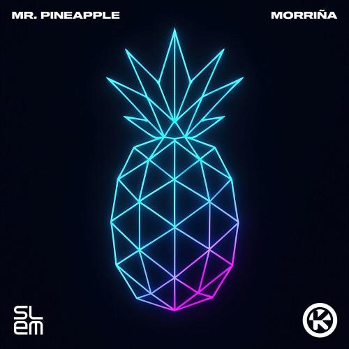 Mister Pineapple - Morriña