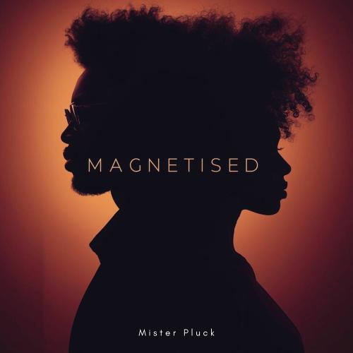 Mister Pluck - Magnetised