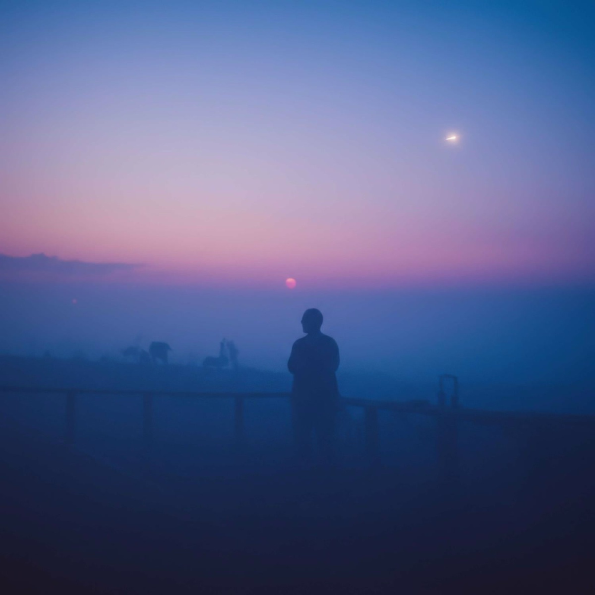 Through the Glass - Mistlow