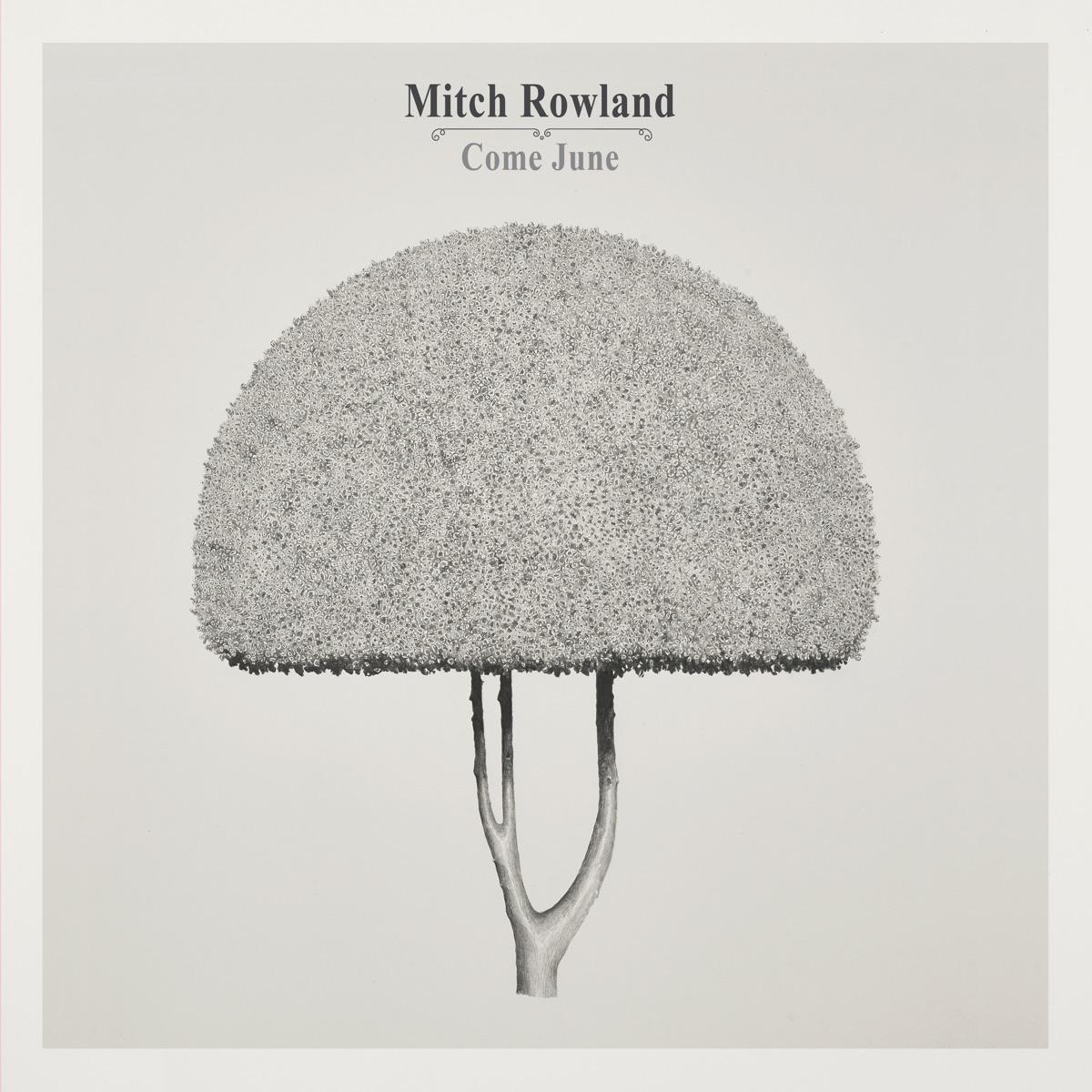 Bluebells - Mitch Rowland