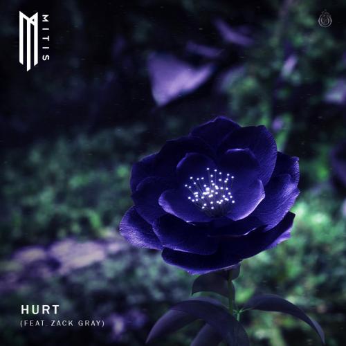 MitiS feat. Zack Gray - Hurt (feat. Zack Gray)