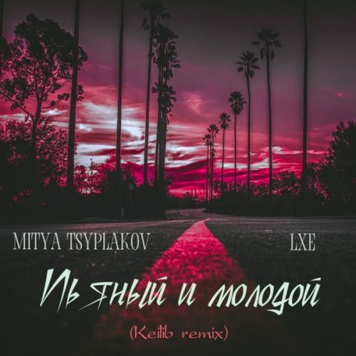 Mitya Tsyplakov feat. LXE - Пьяный молодой (Keilib Remix)