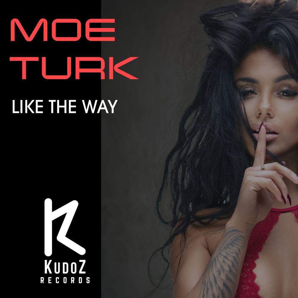 Like The Way - Moe Turk