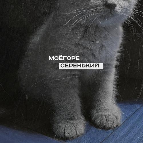 серенький - моёгоре