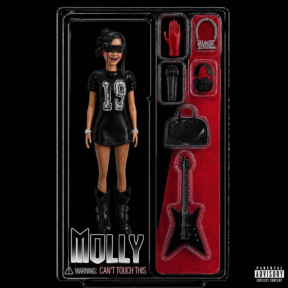 Can't Touch This - Molly Santana
