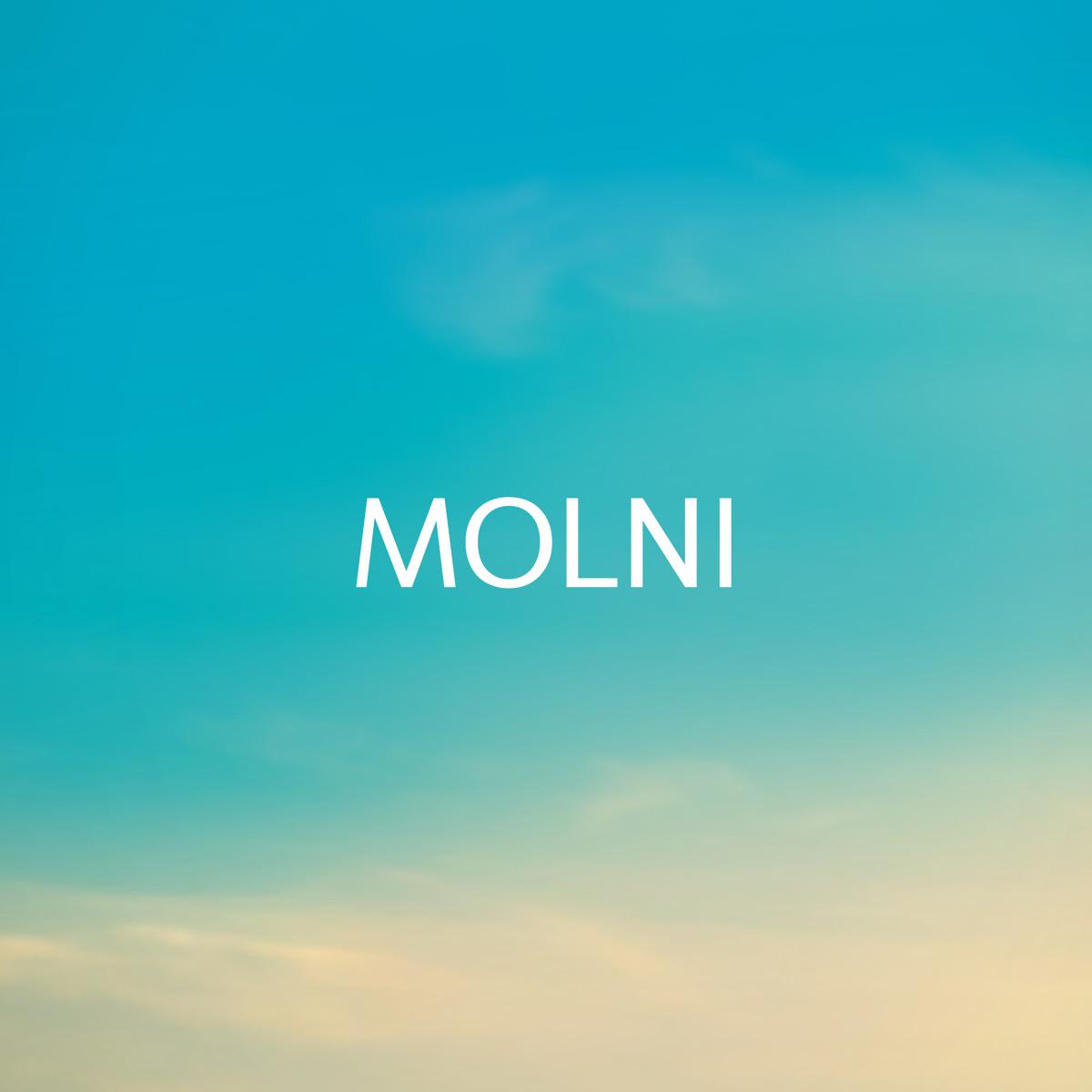 Silent Wonders (Spa) - MOLNI