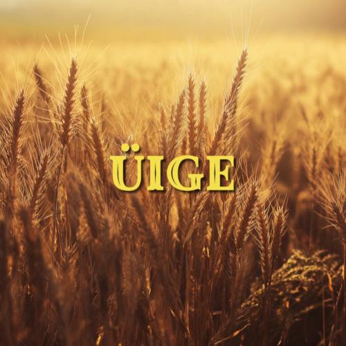 Mona Songz - Üige