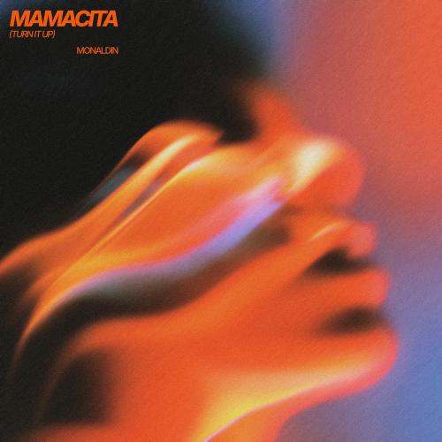 Monaldin - Mamacita (Turn It Up)
