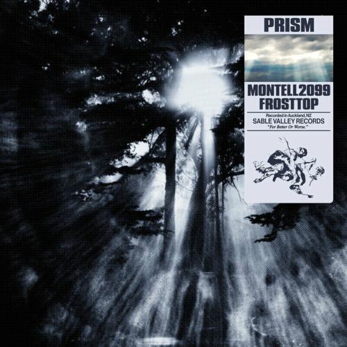 Montell2099 feat. Frosttop - Prism