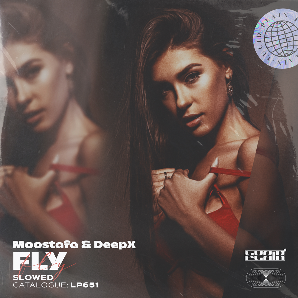 Fly - Moostafa, DeepX