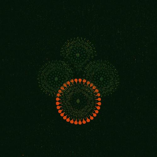 Mossera - Bosky