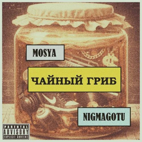 Mosya, NigmaGOtu - Чайный гриб