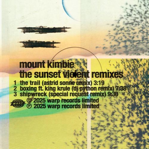 Mount Kimbie - Shipwreck (Special Request Remix)