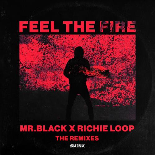 Mr.Black feat. Richie Loop - Feel The Fire (Futuristic Polar Bears & Jerry Davila Remix)