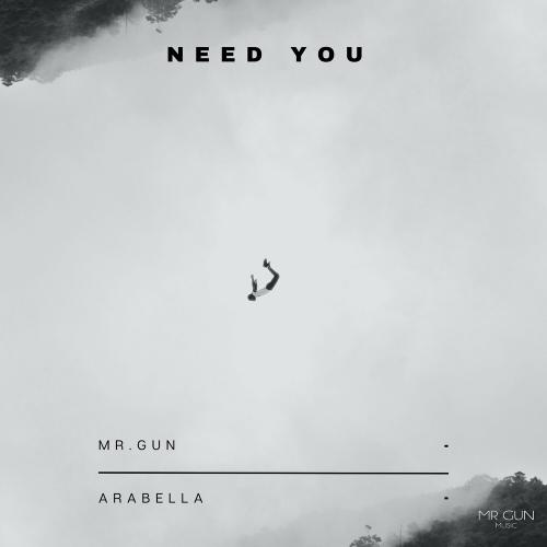 Mr. Gun feat. Arabella - Need You