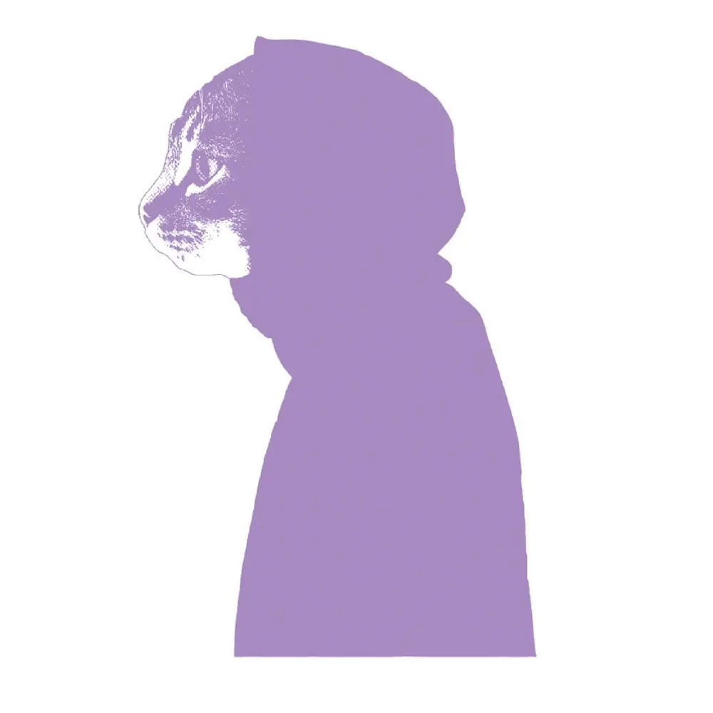 Hurt (Bonus Track) - Mr.Kitty