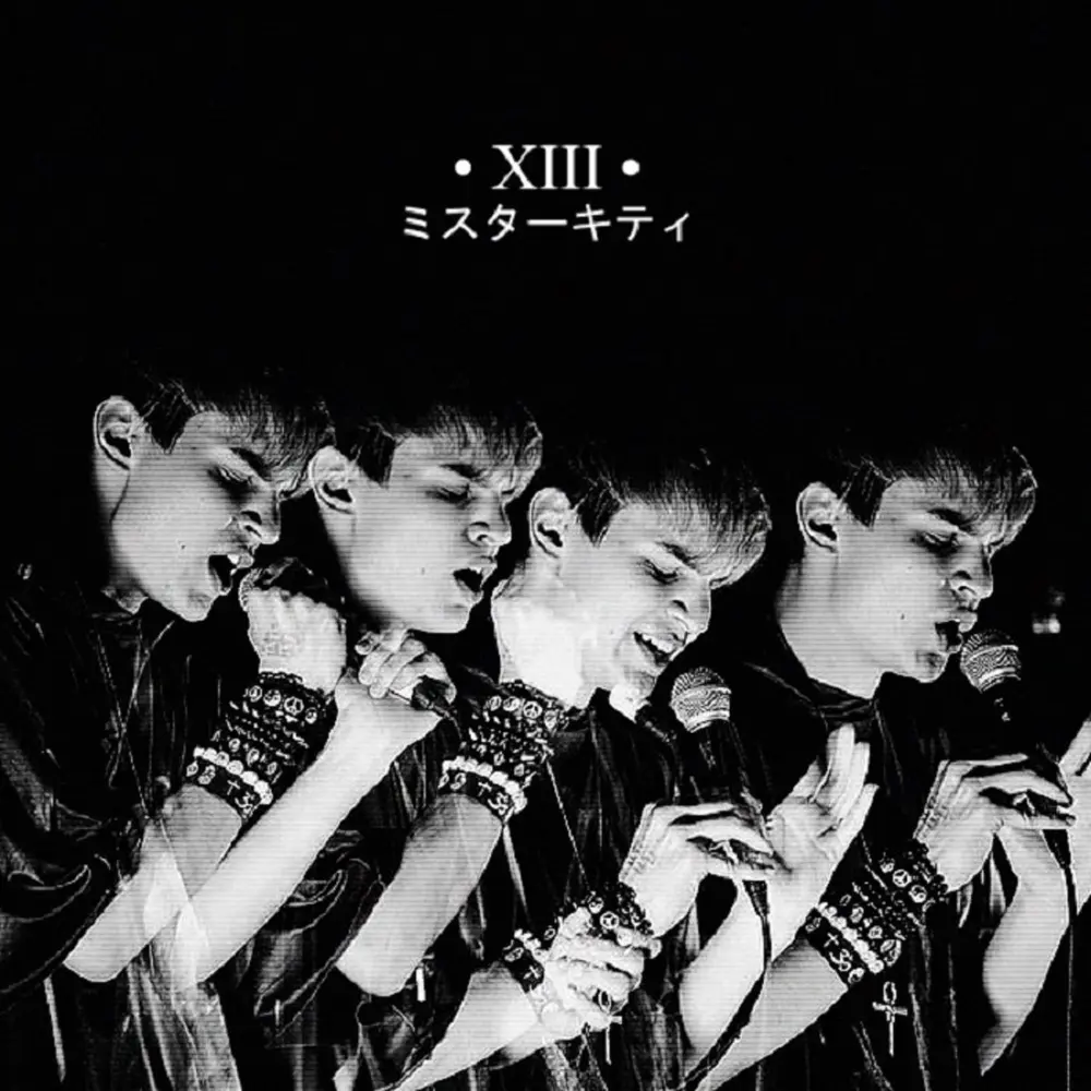 Xiii (Instrumental) - Mr.Kitty