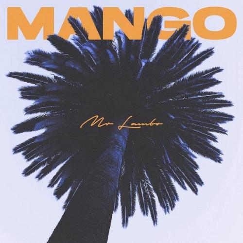 Mr Lambo - Mango (slow remix)