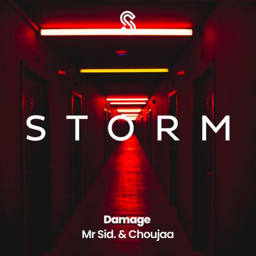Mr Sid , Choujaa - Damage