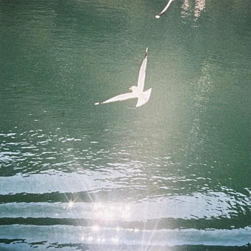 MRD - Let Her Go