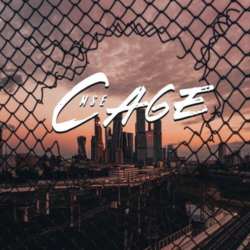 Cage - MSE