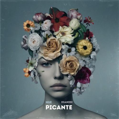 MsE & DIANIDI - Picante