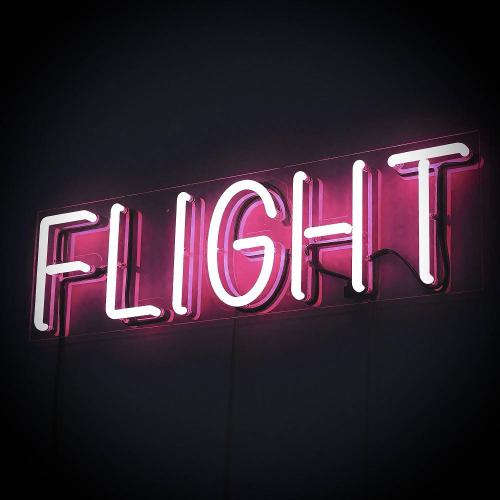 MsE - Flight
