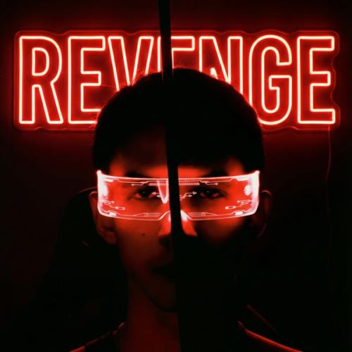 MSMV - Revenge