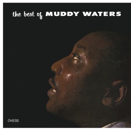 Muddy Waters - I Just Want To Make Love To You
