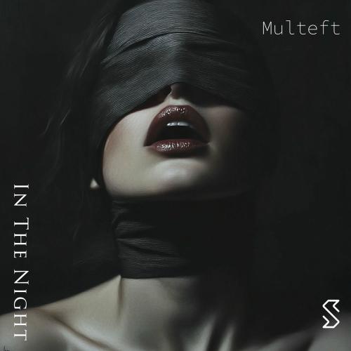 Multeft - In The Night