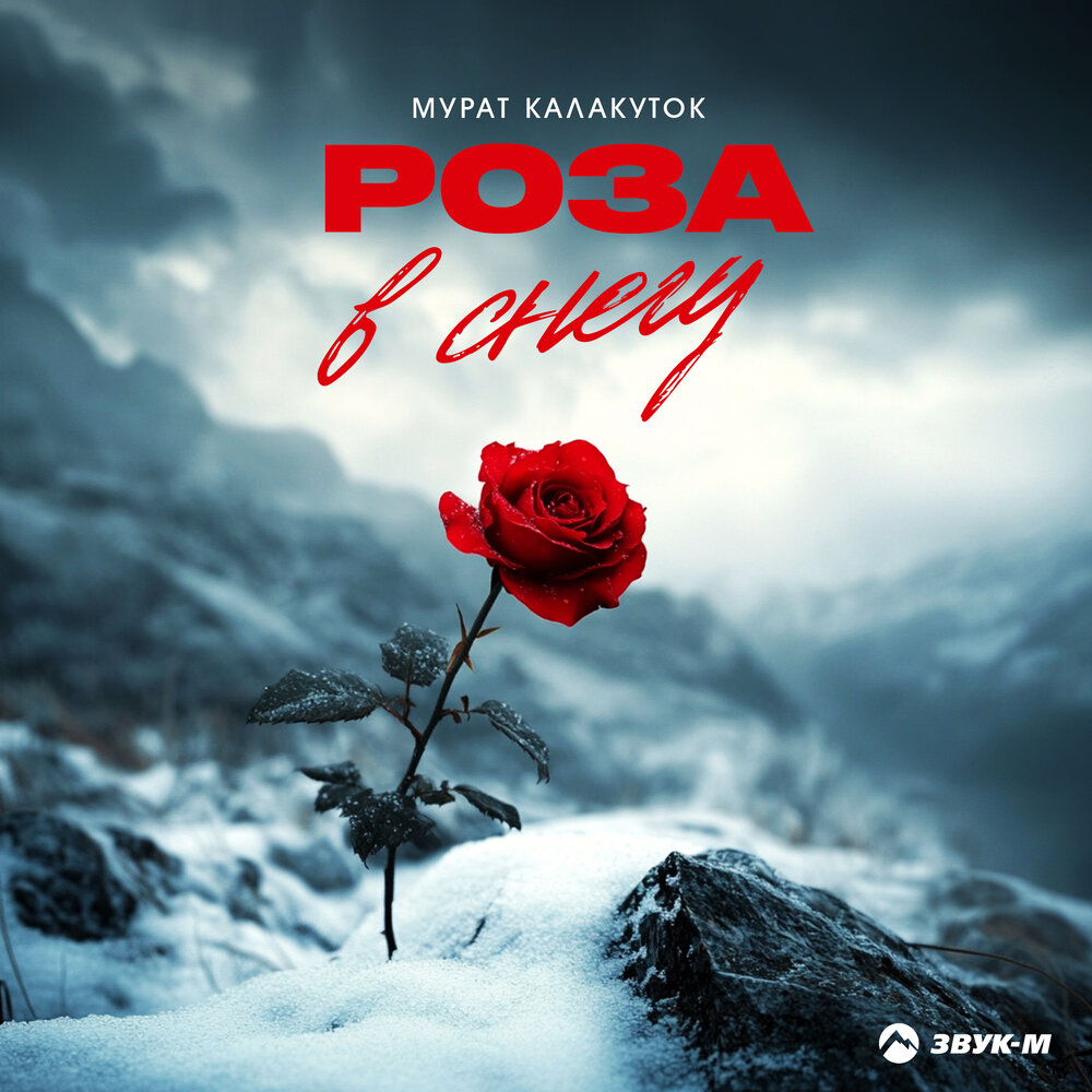 Роза в снегу - Мурат Калакуток
