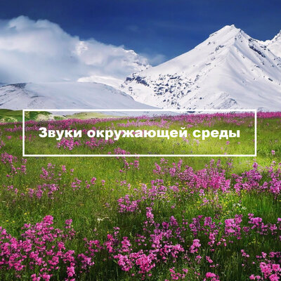 Дельфины Звуки природы - Music of nature for you, Nature Sounds, Zen Meditate, Lo Fi My Lounge