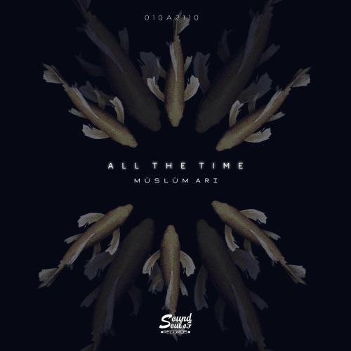 All the Time - Müslüm Arı