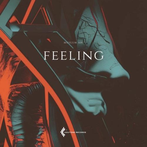 Müslüm Arı - Feeling