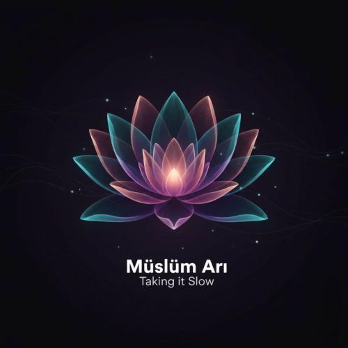Müslüm Arı - Taking It Slow