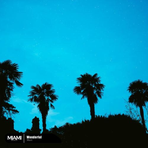 Wonderful - Muvi