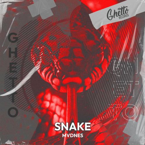 Snake - MVDNES
