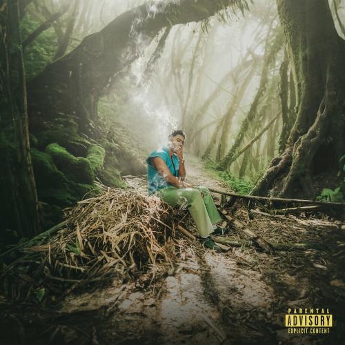 Myke Towers - La Capi