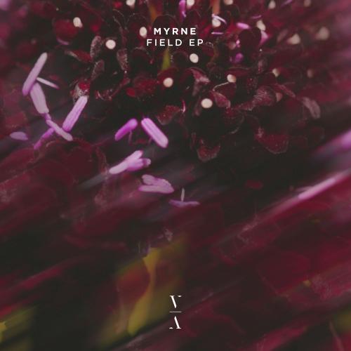 Myrne - Koel