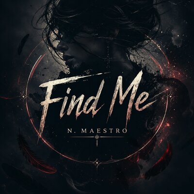 Find Me - N. Maestro