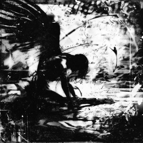 N1VALL - Voidgrace
