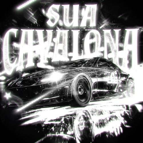 N9PXLUS, SUCCESSXR, REFRESHERX - SUA CAVALONA
