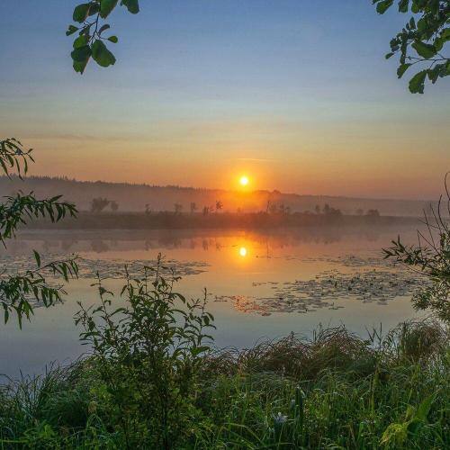 Echoes of Dawn - NAELL N