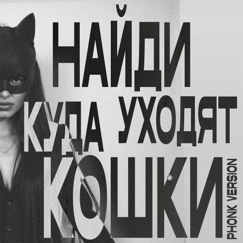 НайдИ - Куда Уходят Кошки (Phonk Version)