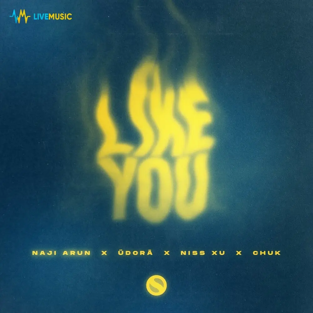 Like You - Naji Arun, Udora, NISS XU, Chuk