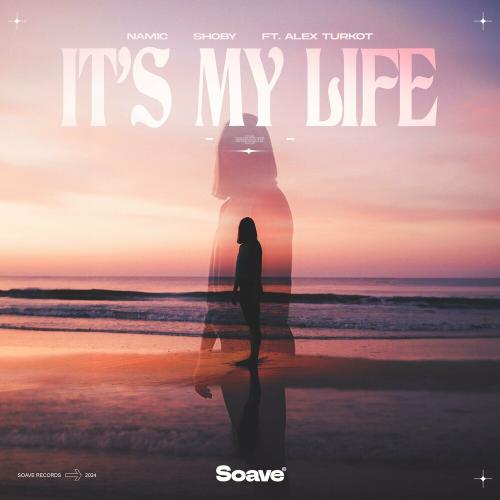 Namic x Shoby feat. Alex Turkot - It Is My Life