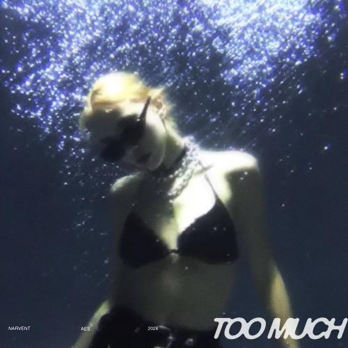 Narvent & aes - Too Much