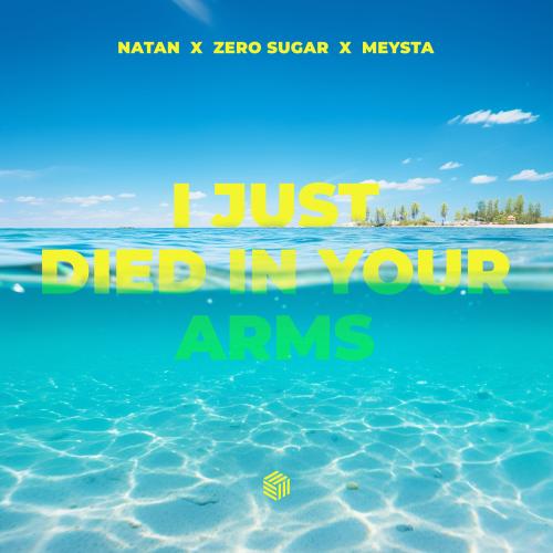 NATAN feat. Zero Sugar x MEYSTA - I Just Died In Your Arms
